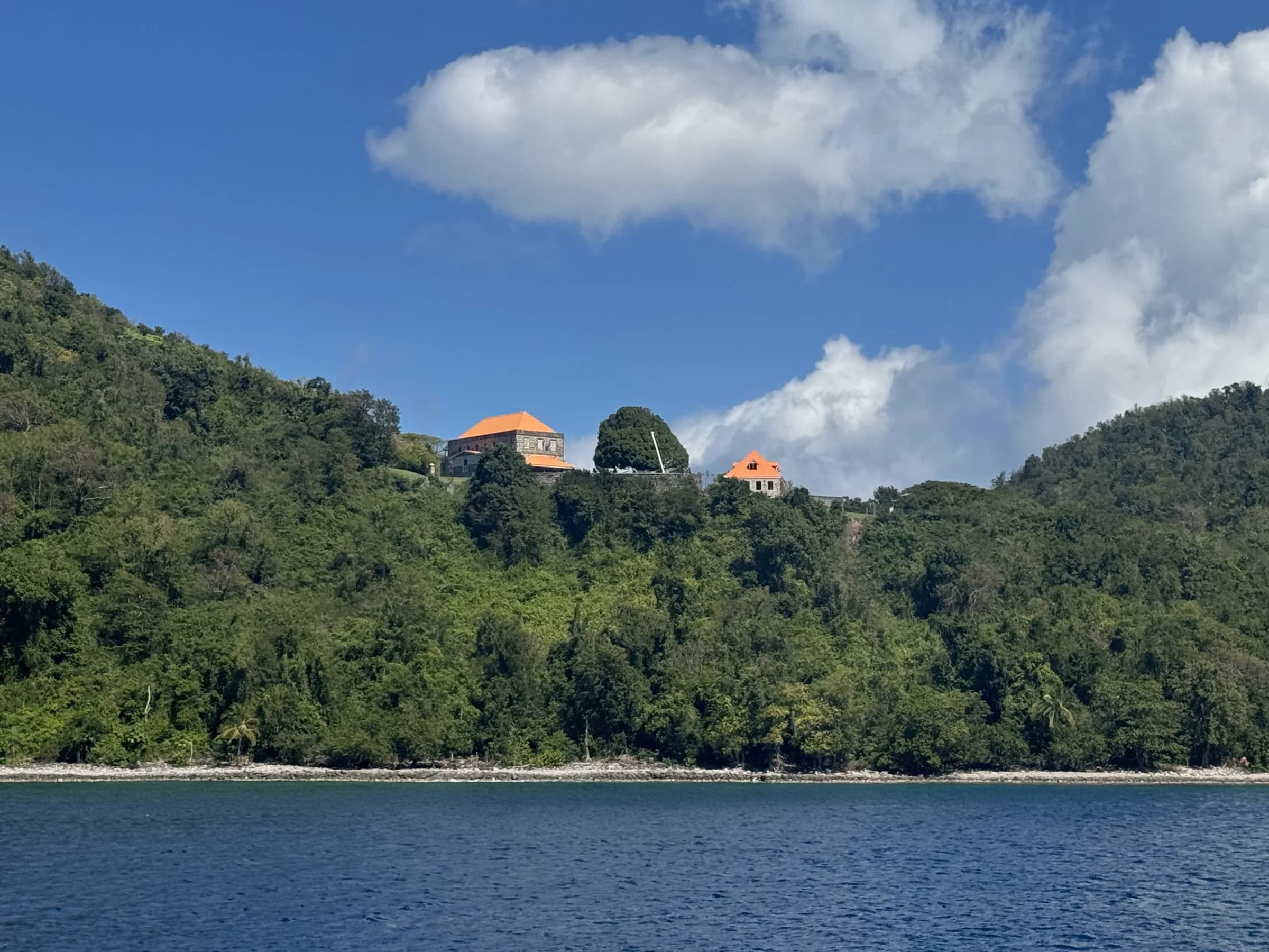 An Egyptian Family in Dominica