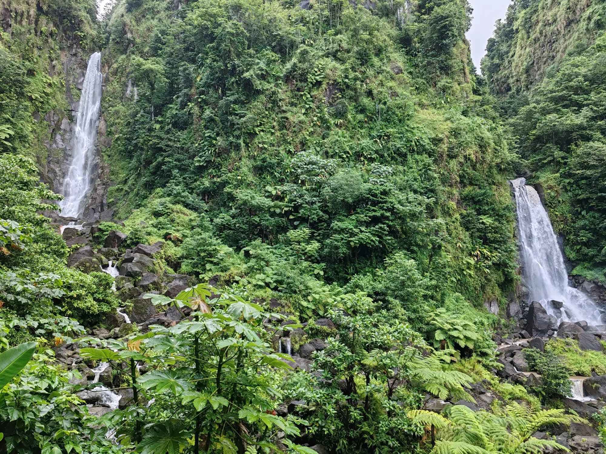 An Egyptian Family in Dominica — Pourquoi ce choix, et ce qui a été écarté